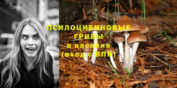 ECSTASY Аркадак